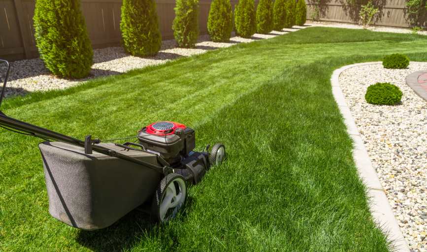 LAWN CARE SERVICES